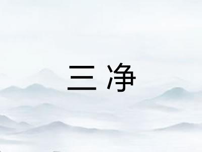 三净