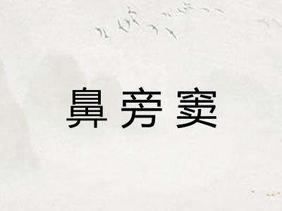 鼻旁窦