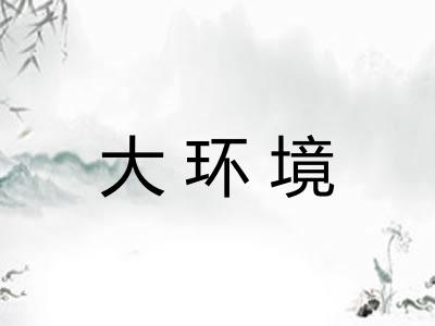 大环境
