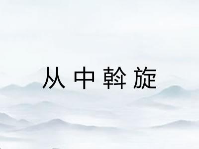 从中斡旋