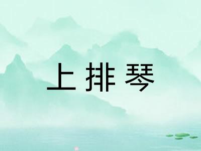 上排琴