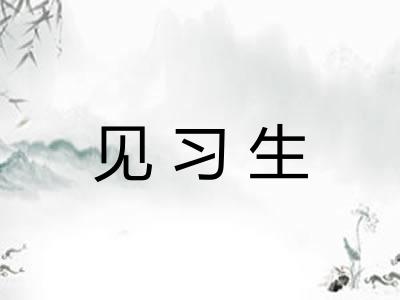 见习生