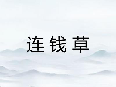 连钱草