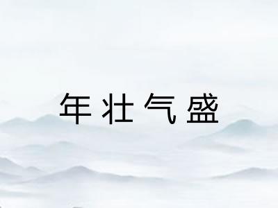 年壮气盛