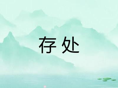 存处