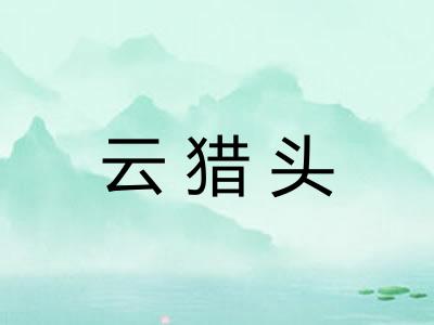 云猎头