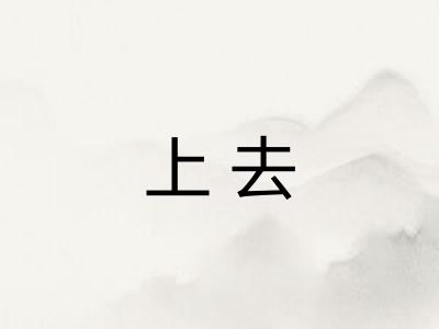 上去