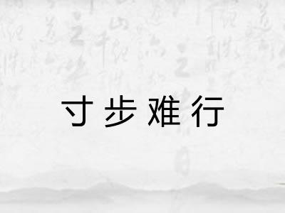 寸步难行