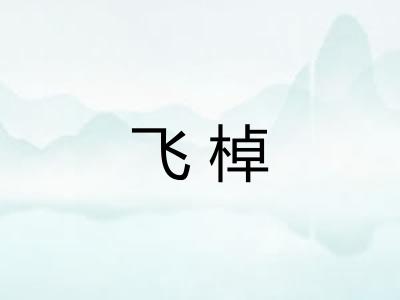 飞棹