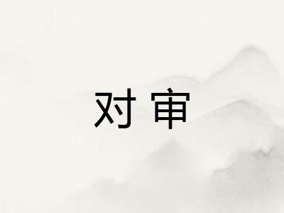 对审