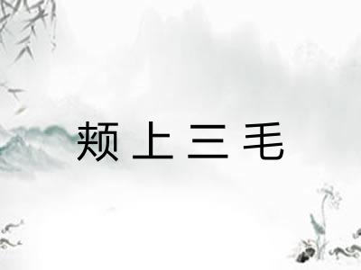 颊上三毛