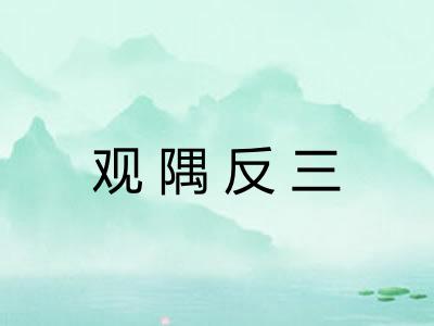 观隅反三
